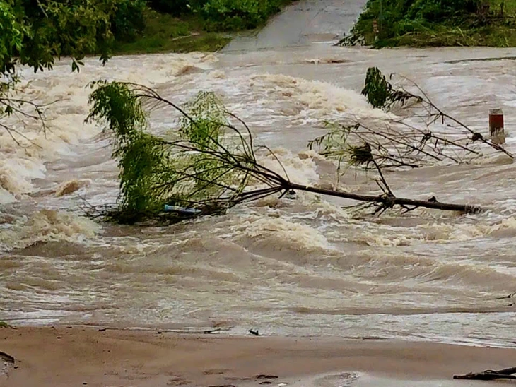 Quốc lộ 29 nối phía đông và phía tây Đắk Lắk ngập nặng, chính quyền sơ tán dân tránh lũ- Ảnh 5. Quốc lộ 29 nối phía đông và phía tây Đắk Lắk ngập nặng, chính quyền sơ tán dân tránh lũ - Ảnh 5.
