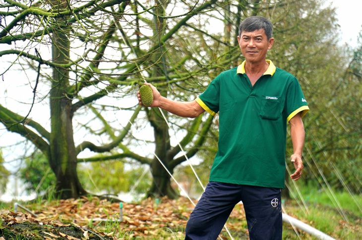 Nhà vườn trồng sầu riêng bị thiệt hại do lũ, triều cường được hỗ trợ bao nhiêu tiền? - Ảnh 1.