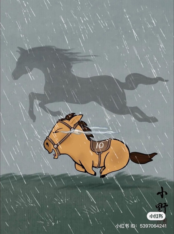 chú ngựa - Ảnh 1.