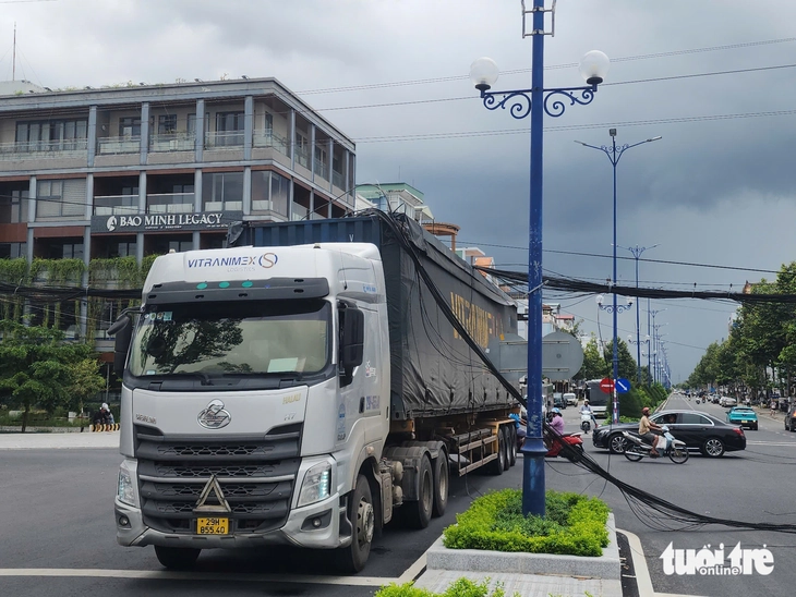 container - Ảnh 2.