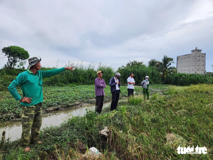 lúa nếp thiệt hại - Ảnh 4.