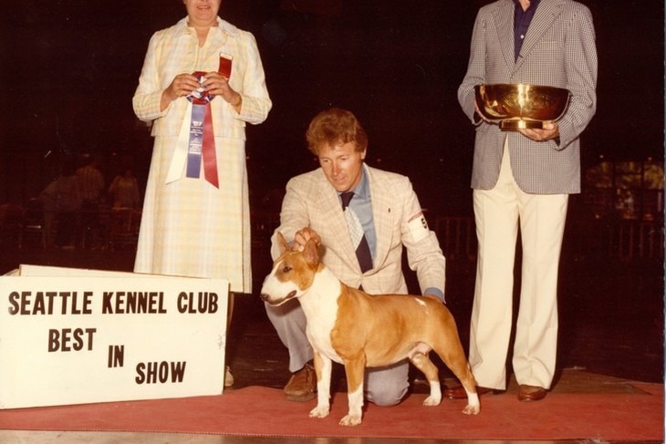 Cậu Vàng - Ảnh 5.