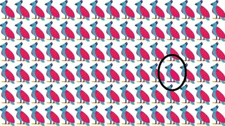 khuôn mặt - Ảnh 4.