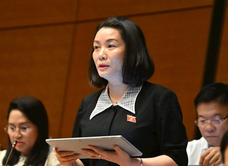 lý lịch tư pháp - Ảnh 2.