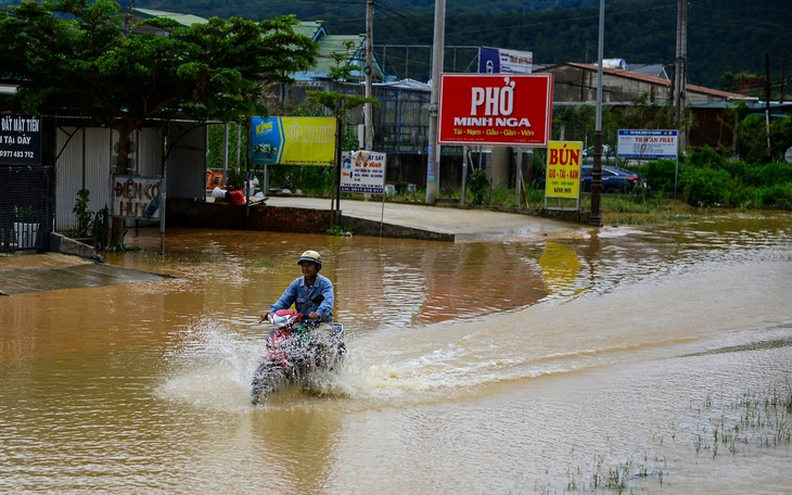 Mưa lớn gây ngập một số nơi thấp trũng khu vực đông Gia Lai  - Ảnh 3.