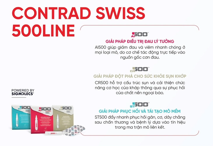 cơ xương khớp - Ảnh 2.