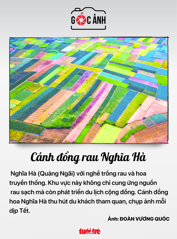 đất đai - Ảnh 5.