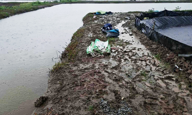 SÉT ĐÁNH - Ảnh 1.