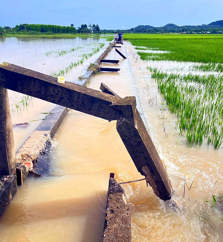 mưa lớn - Ảnh 2.