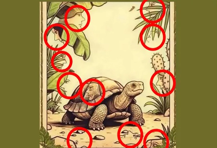 khuôn mặt - Ảnh 2.