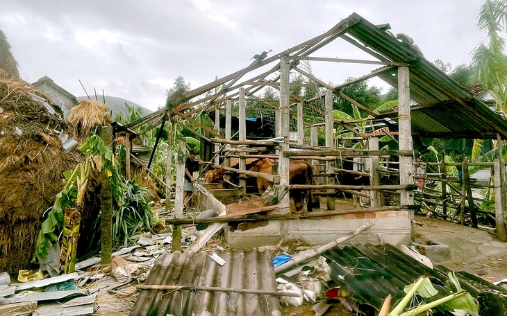 Quảng Ngãi chủ động điều tiết hồ chứa đón mưa lớn, tránh 'mưa trắng trời - hồ đồng loạt xả lũ' - Ảnh 2.