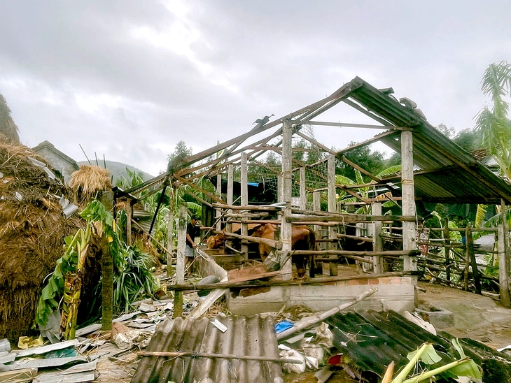 Lốc xoáy quét qua ngôi làng ở Quảng Ngãi, nhiều mái nhà bị xé toạc - Ảnh 2.