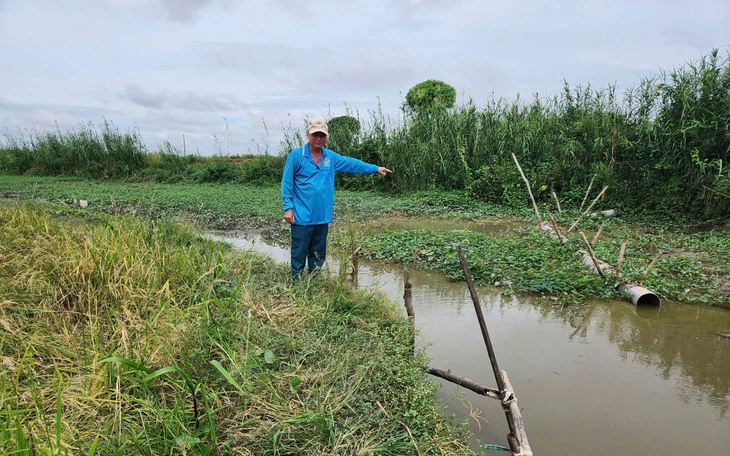 Phát hiện trang trại nuôi heo gần 5.000 con xả thải trực tiếp ra kênh - Ảnh 2.