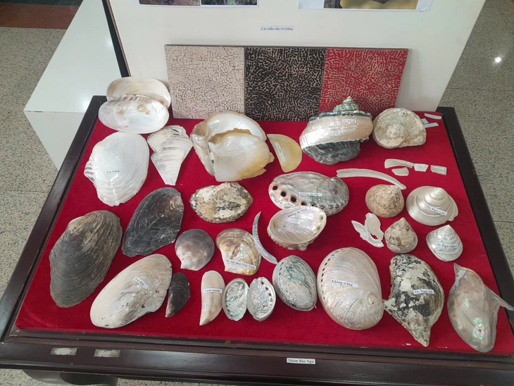 sơn mài - Ảnh 5.