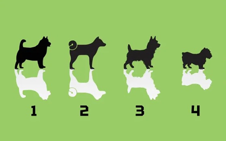 Quiz: Hình dáng ngón cái tiết lộ nhiều điều về con người thật của bạn - Ảnh 7.