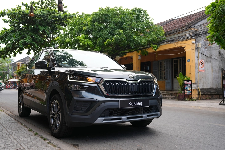 Skoda - Ảnh 2.