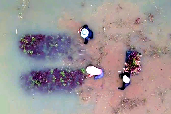 Bình Châu, Hồ Tràm, Đất Đỏ, Châu Đức khẩn trương khắc phục hậu quả do mưa lớn - Ảnh 1.