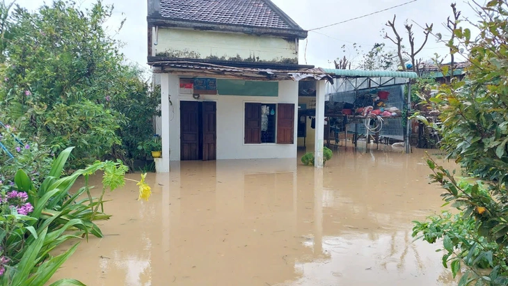 Quy Nhơn - Ảnh 3.