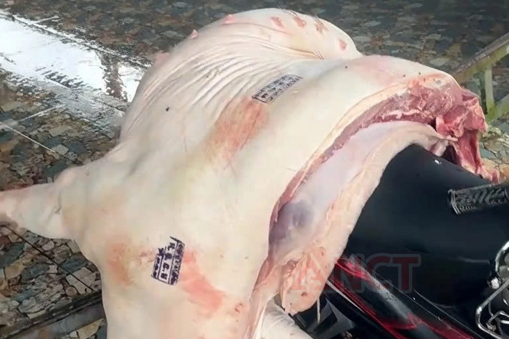 Bắt 3 cán bộ thú y tội lợi dụng quyền hạn khi thi hành công vụ - Ảnh 2.