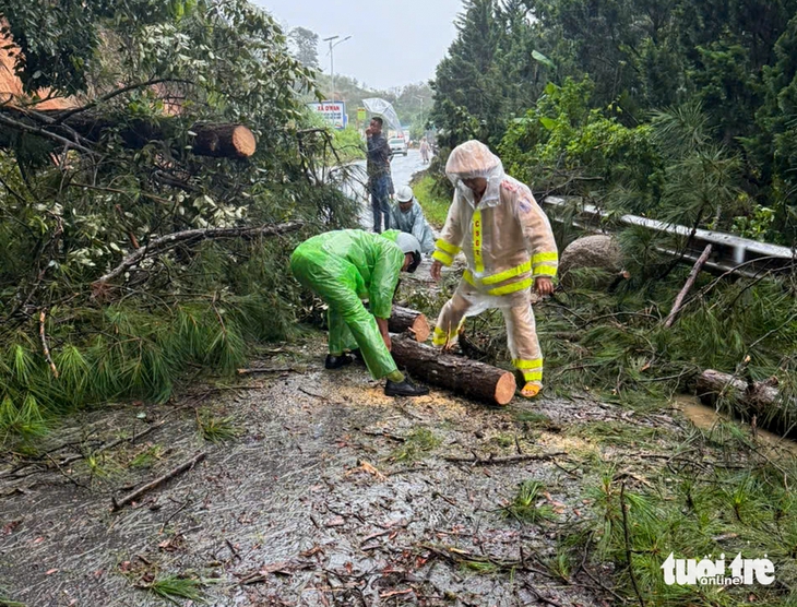 Đà Lạt bị cô lập sau khi nhiều đèo sạt lở là tin thất thiệt - Ảnh 2.