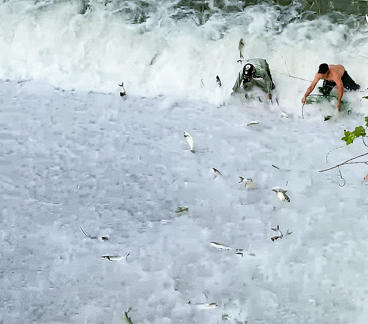 Cá tràn ra hồ Liệt Sơn do nước dâng cao, người dân 'liều mình' đón bắt - Ảnh 3.