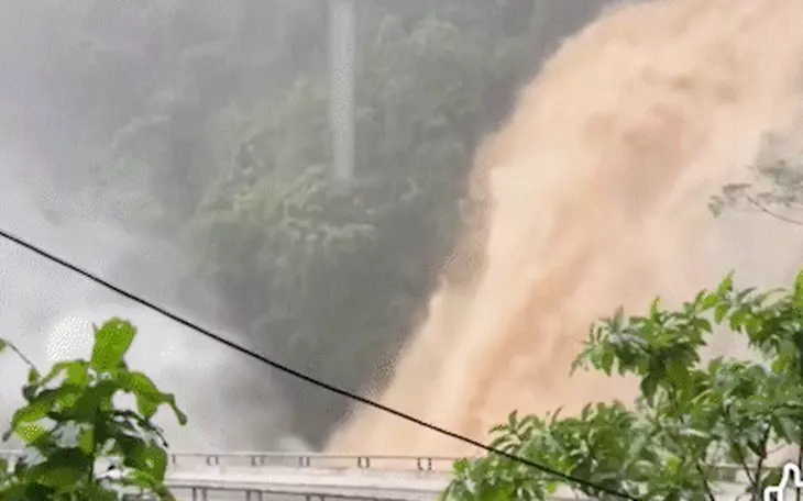 Mưa lớn, cá theo nước rời khỏi hồ, dân 'liều mình' bắt cá - Ảnh 2.