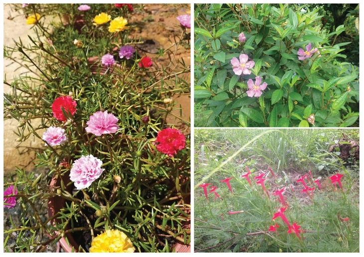 ngày nhà giáo - Ảnh 1.