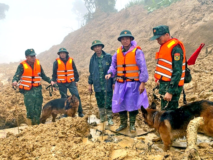 cô lập - Ảnh 1.