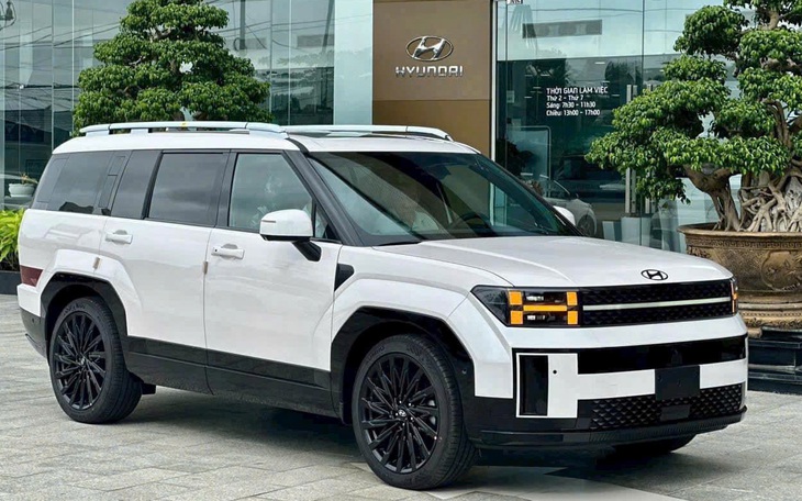 Hyundai Santa Fe - Ảnh 1.