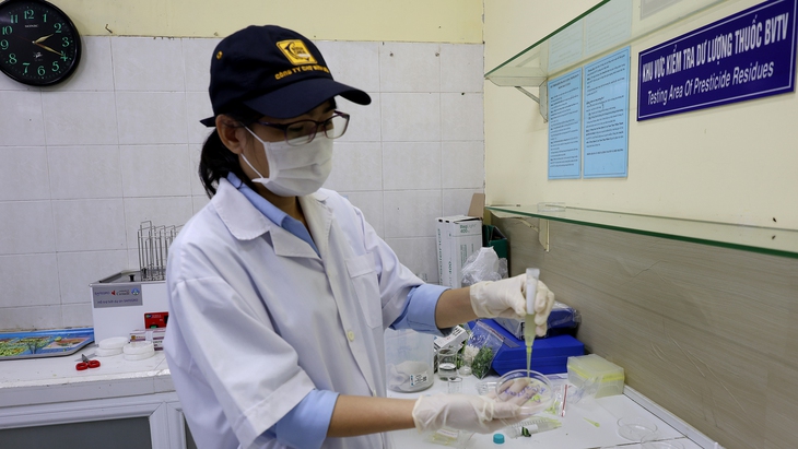 Bình Điền - Ảnh 4.