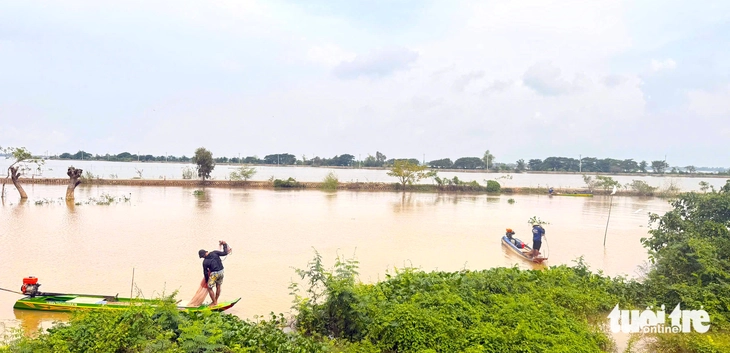 mực nước - Ảnh 1.