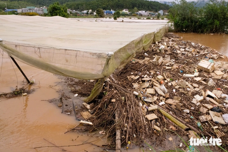 Vùng rau Đà Lạt nhiều nơi ngập trắng - Ảnh 3.