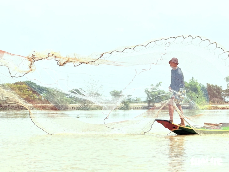 cá đồng - Ảnh 1.