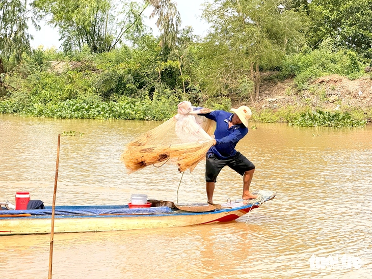 cá đồng - Ảnh 2.