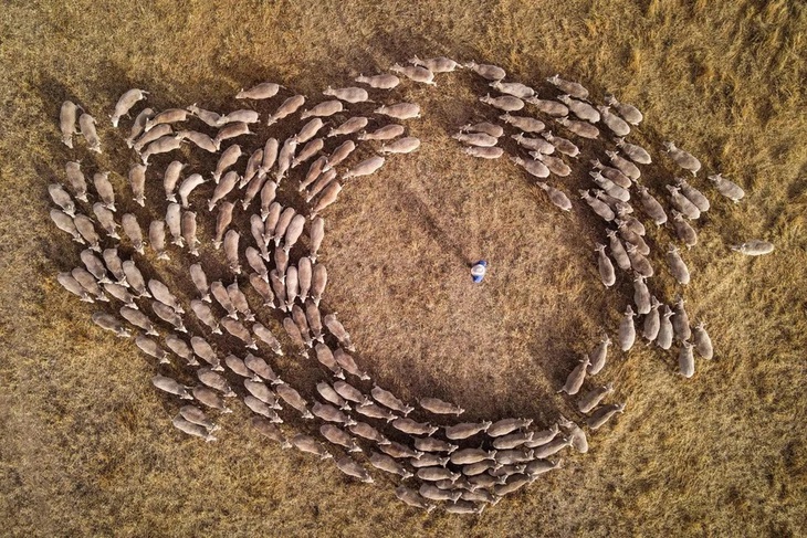 Tin tức thế giới 20-11: - Ảnh 1.