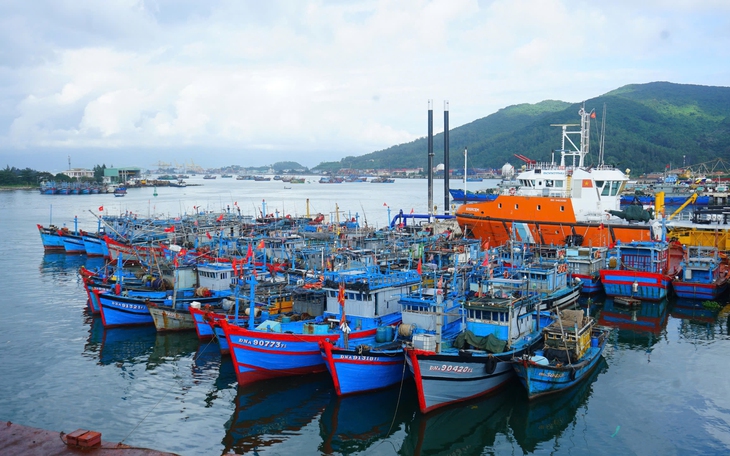 Cảng cá Thọ Quang nhộn nhịp tàu thuyền, ngư dân phấn khởi vì hải sản được giá - Ảnh 15.