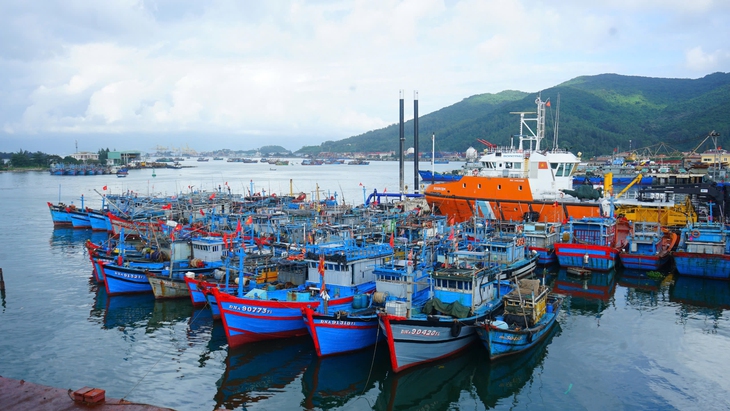 Khánh thành dự án nâng cấp cảng cá Thọ Quang, trung tâm nghề cá lớn nhất miền Trung - Ảnh 4.