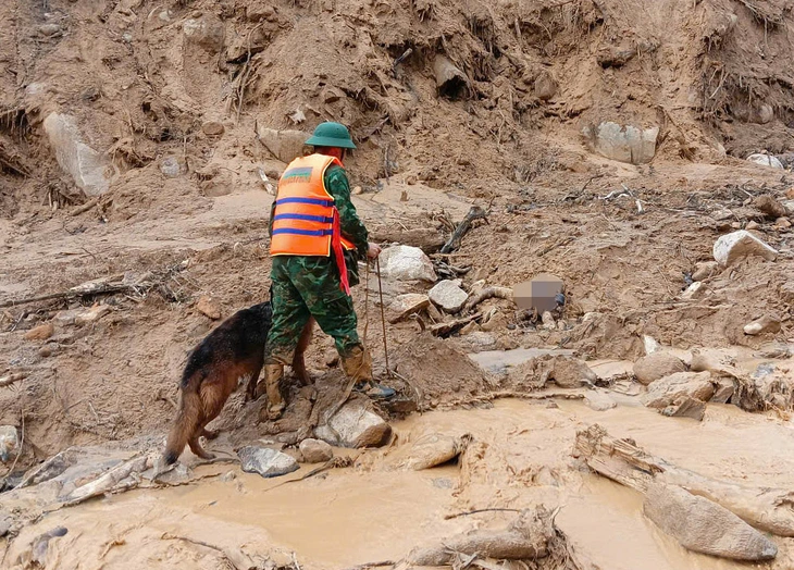 sạt lở núi - Ảnh 1.