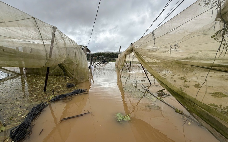 Cận cảnh đèo Mimosa Đà Lạt bị đứt gãy hoàn toàn do sạt lở - Ảnh 10.