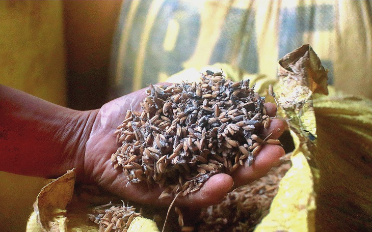 Đà Nẵng chi 210 tỉ đồng về 72 xã, phường để khắc phục hậu quả thiên tai - Ảnh 2.