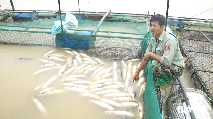 bùn đất - Ảnh 5.