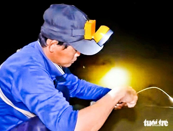 cá lóc đồng - Ảnh 5.