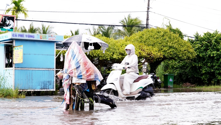 TRIỀU CƯỜNG - Ảnh 1.