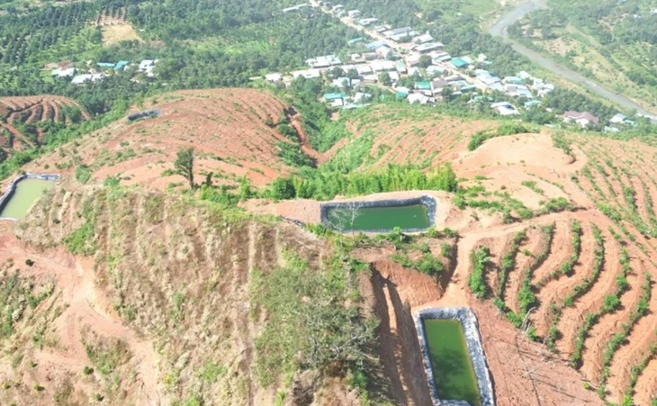 Vụ bạt đồi trồng sầu riêng, đất đá tràn vào nhà dân: Không bơm nước vào 4 hồ chứa để đảm bảo an toàn - Ảnh 2. sầu riêng - Ảnh 2.