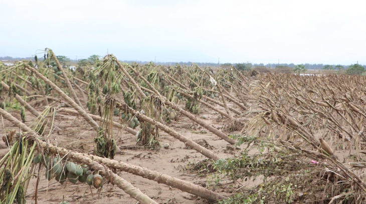 Lũ trên sông Vu Gia, Thu Bồn đang lên lại, một số nơi thấp trũng bị ngập - Ảnh 7.