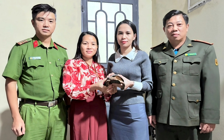 rùa đất  - Ảnh 1.