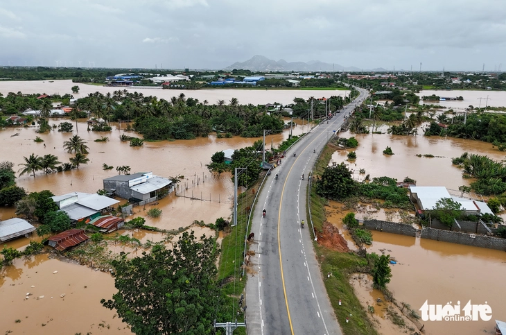 sông Dinh - Ảnh 4.