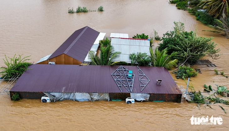 sông Dinh - Ảnh 5.