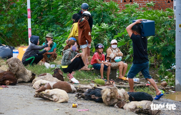 sông Dinh - Ảnh 9.