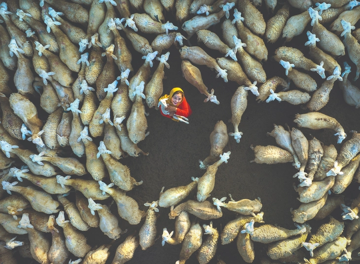 Gần 2.000 ảnh dự thi Liên hoan ảnh nghệ thuật truyền thống TP.HCM - Ảnh 6. Liên hoan ảnh nghệ thuật - Ảnh 6.